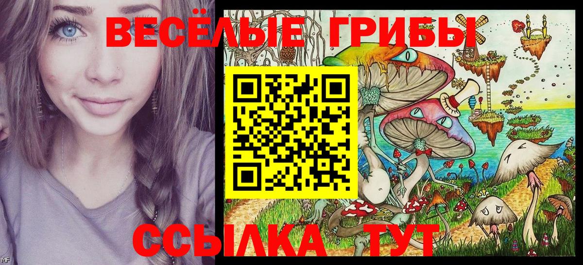 Галлюциногенные грибы MAGIC MUSHROOMS Златоуст